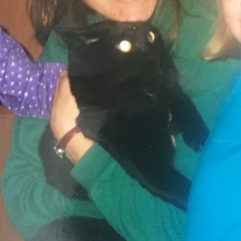 Meet your Posher, Julia